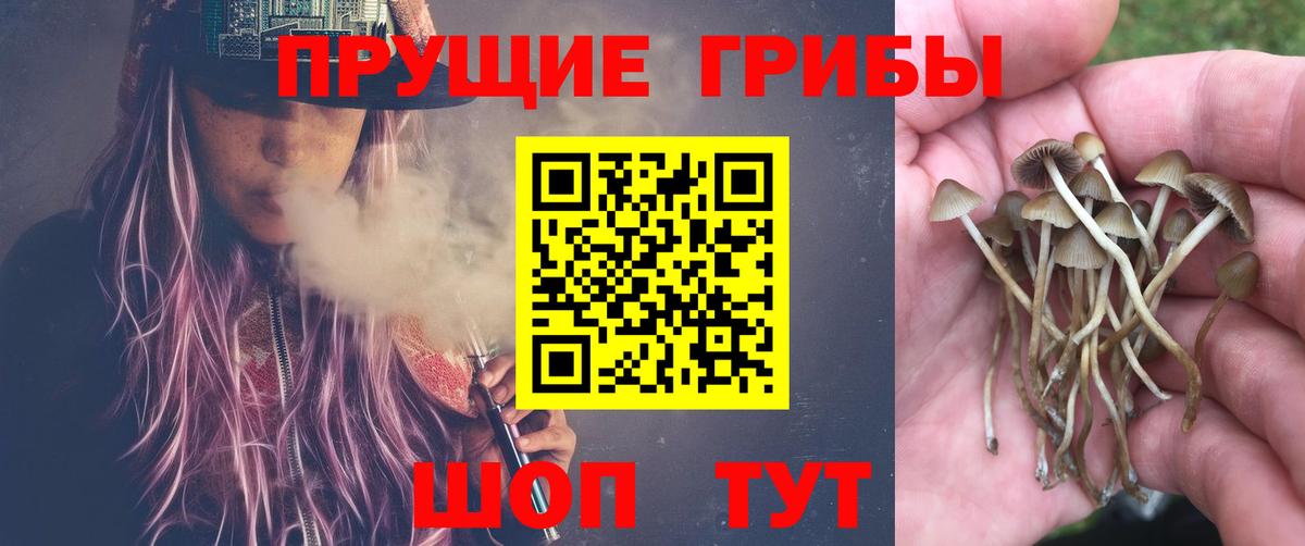 Псилоцибиновые грибы Psilocybine cubensis  Вход с VPN  Псилоцибиновые грибы Cubensis  Мариинск 